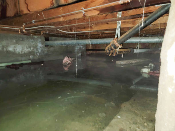 Best Emergency water damage restoration  in Spring Lake, MI