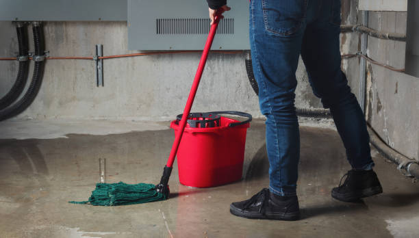 Best Flood restoration services  in Spring Lake, MI