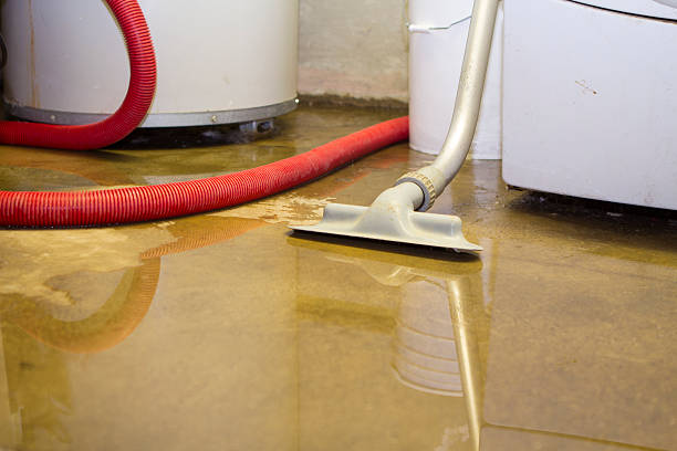 Best Ceiling water damage repair  in Spring Lake, MI