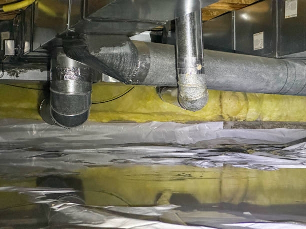Best Water damage restoration near me  in Spring Lake, MI