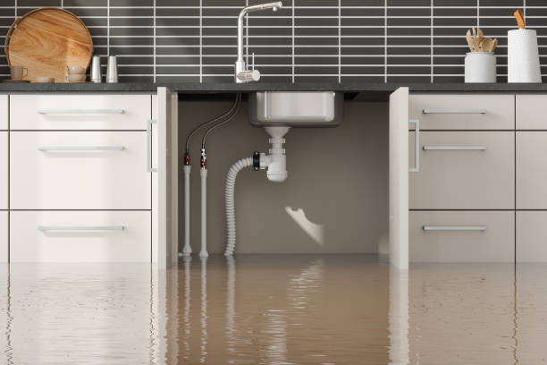 Best Flood damage cleanup  in Spring Lake, MI