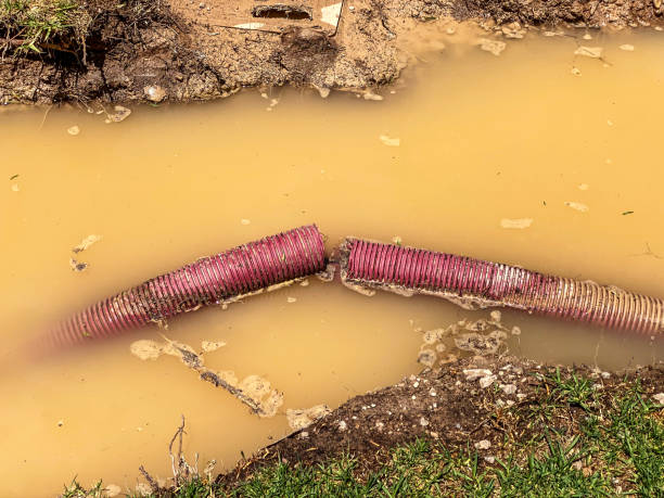 Best Residential water damage restoration  in Spring Lake, MI