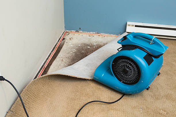 Best Water damage restoration insurance claims  in Spring Lake, MI